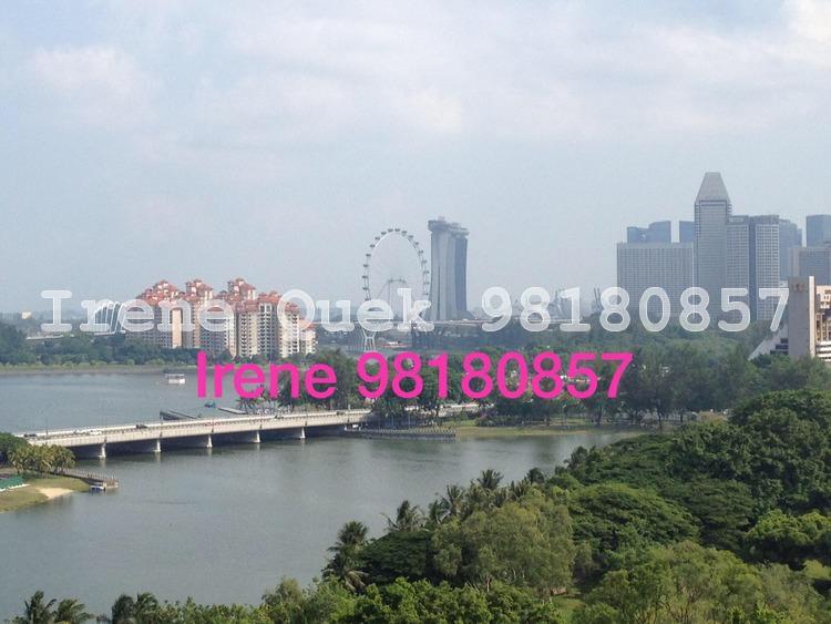 The Riverine By The Park (D12), Apartment #163189832